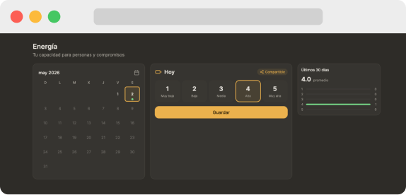 Original separate Energy tracker in Nidoly, shown
in Spanish