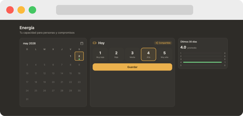Original separate Energy tracker in Nidoly, shown
in Spanish